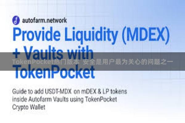 TokenPocket热门版本  安全是用户最为关心的问题之一